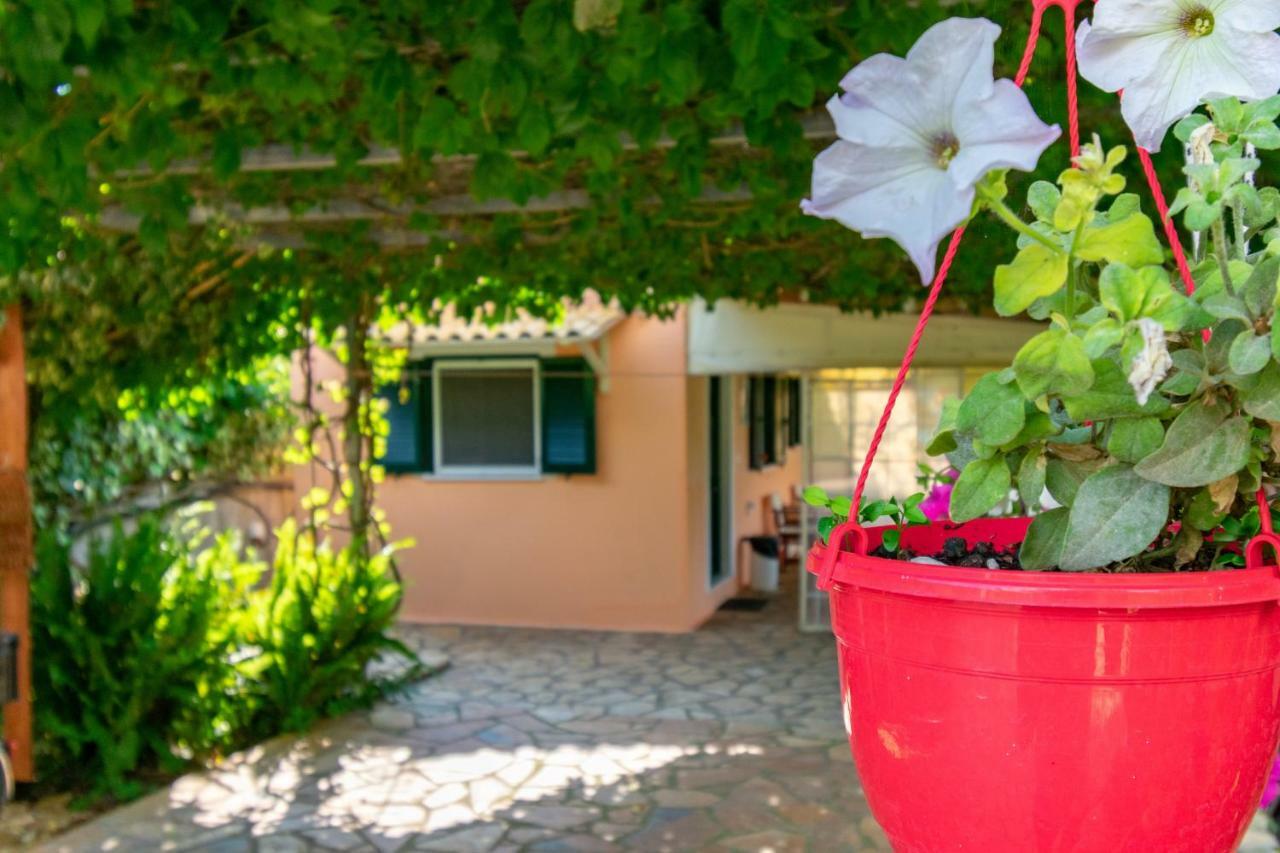 Evaggelia Studios Frínion Exteriér fotografie